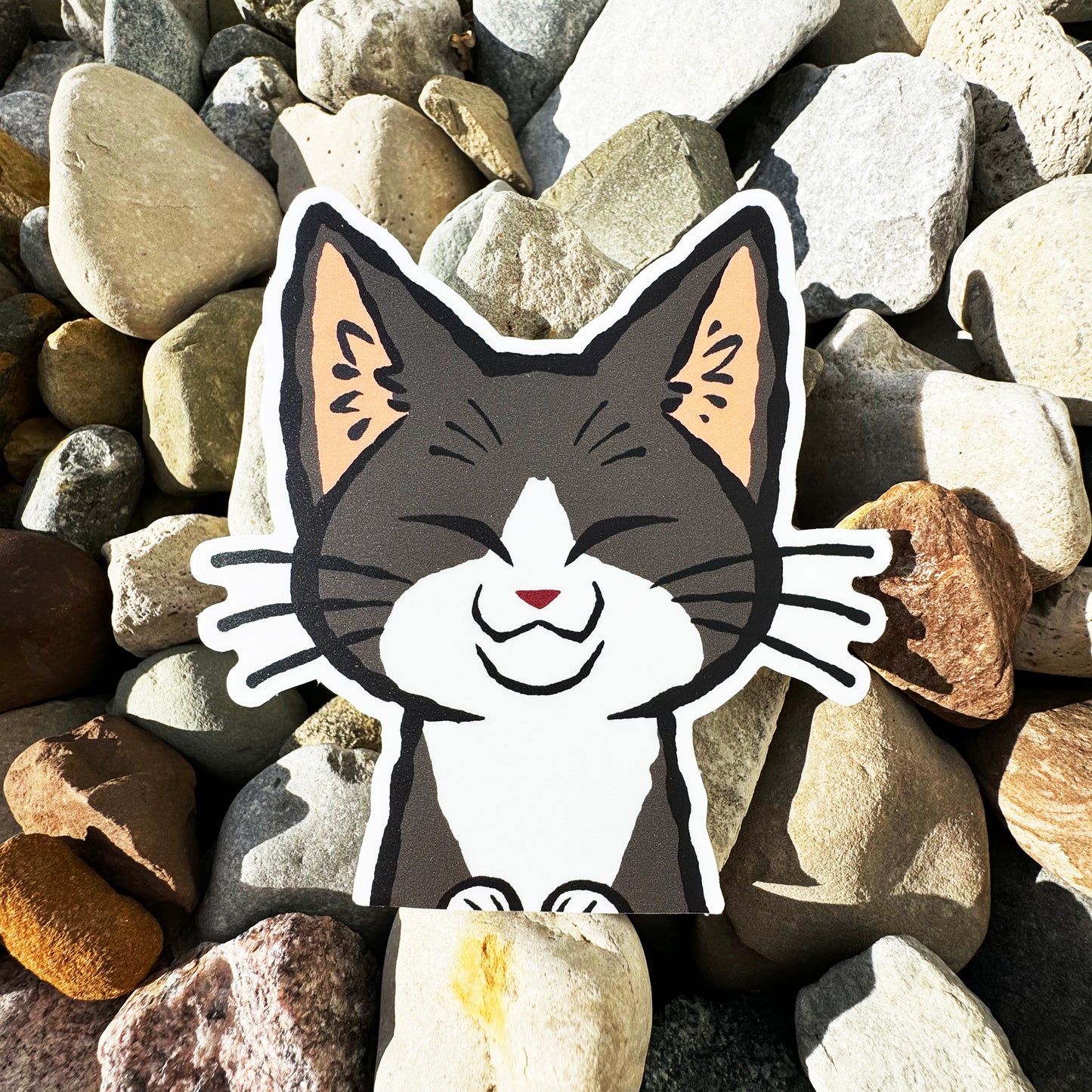 Cartoon tuxedo cat sticker on a bed of multicolored stones
