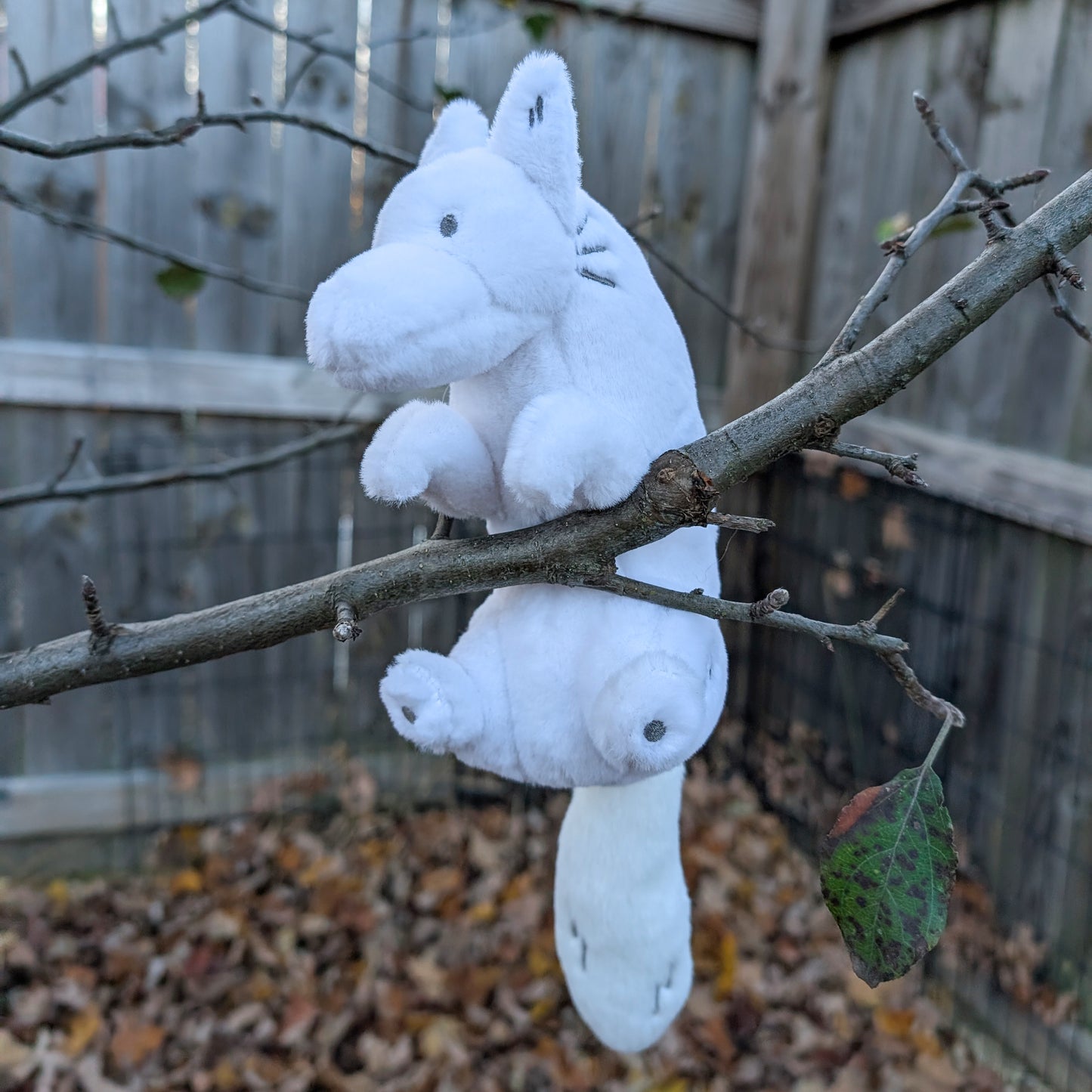 Plush toy of a white wolf sitting in a tree