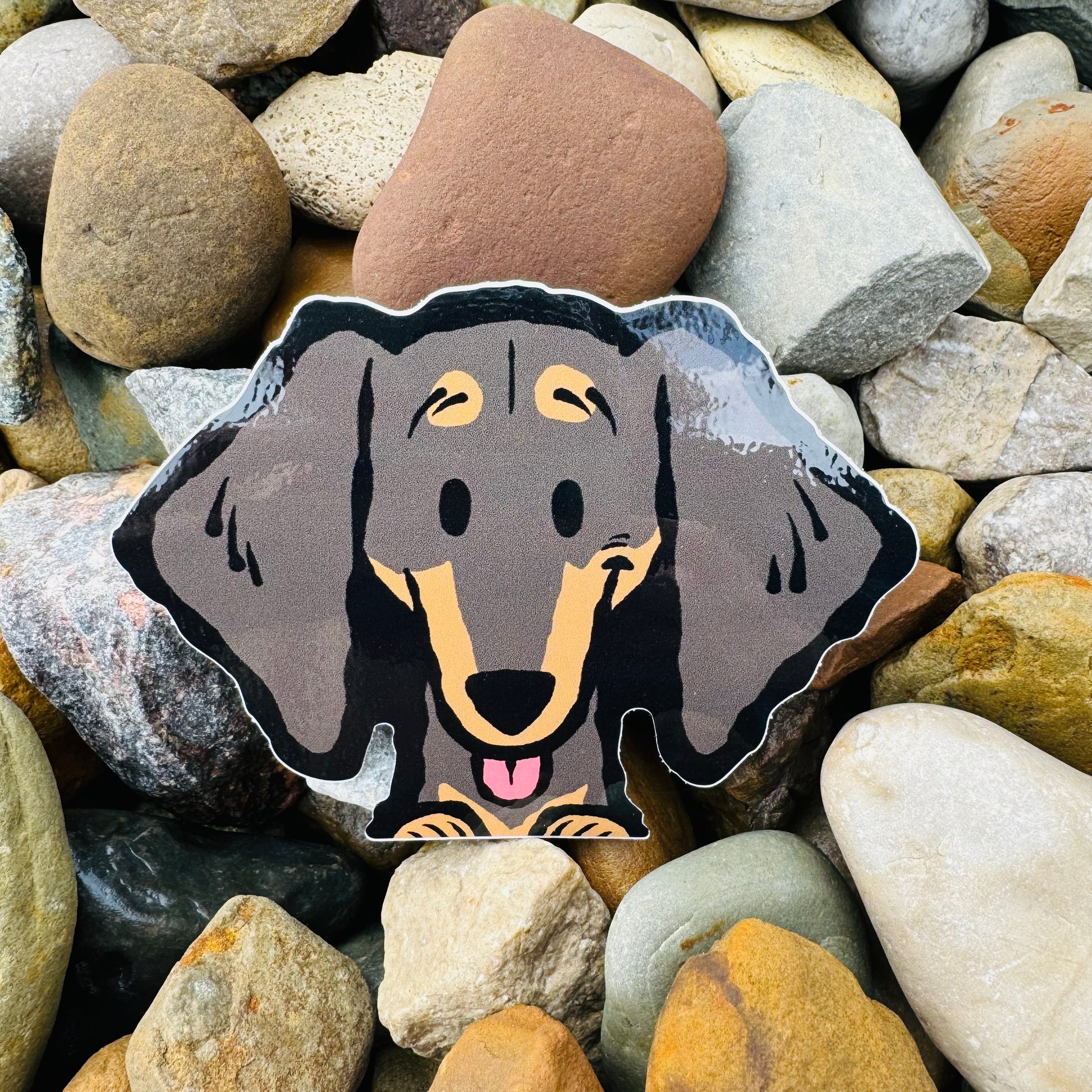 A vinyl sticker of a dachshund on top of multi-colored stones