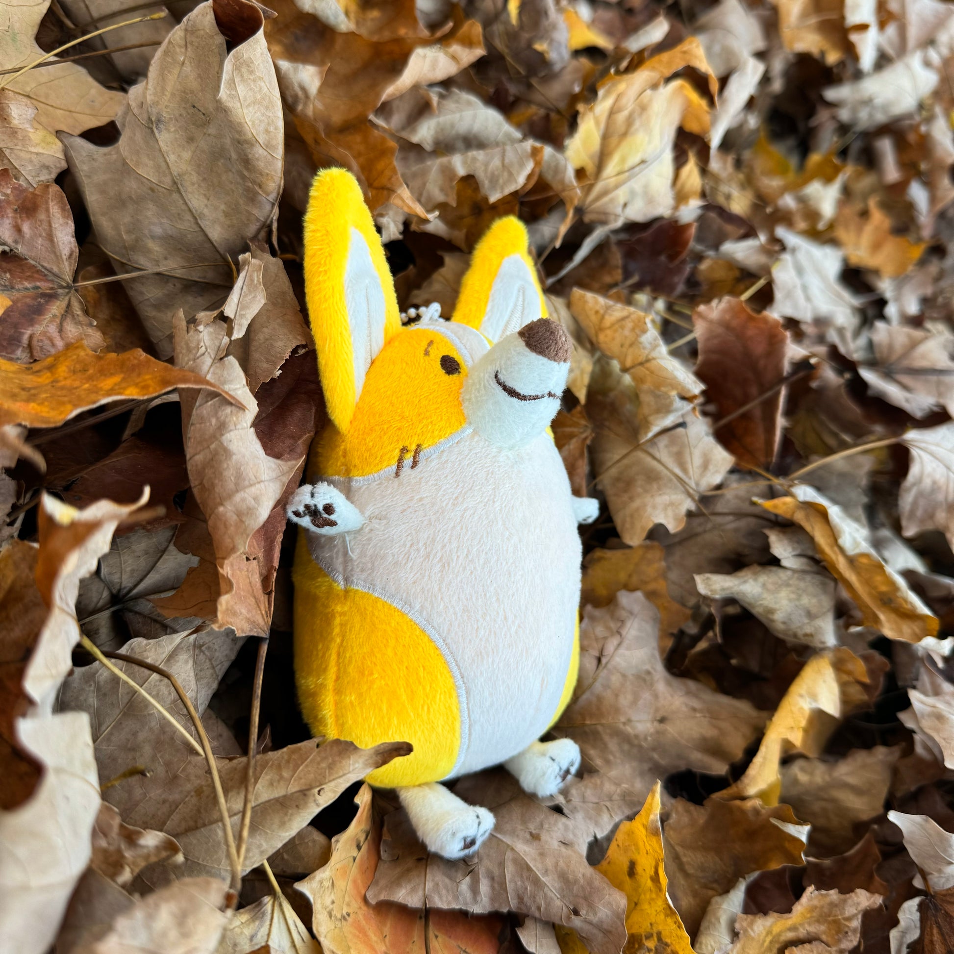 Plush toy of a corgi lying in a pile of fall leaves