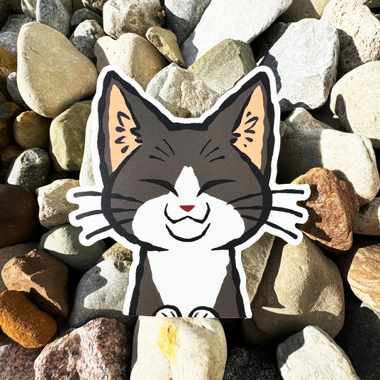 Cartoon tuxedo cat sticker on a bed of multicolored stones