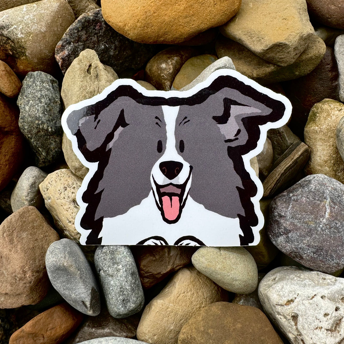 Border Collie Peeker vinyl sticker by Made By Nao! weatherproof, durable sticker featuring a playful Border Collie design.